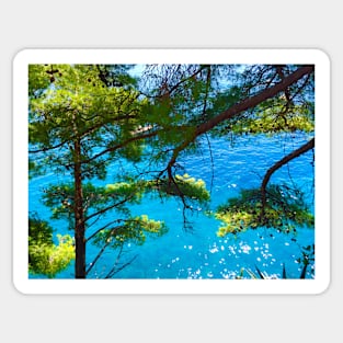 Trees & Ocean Sticker